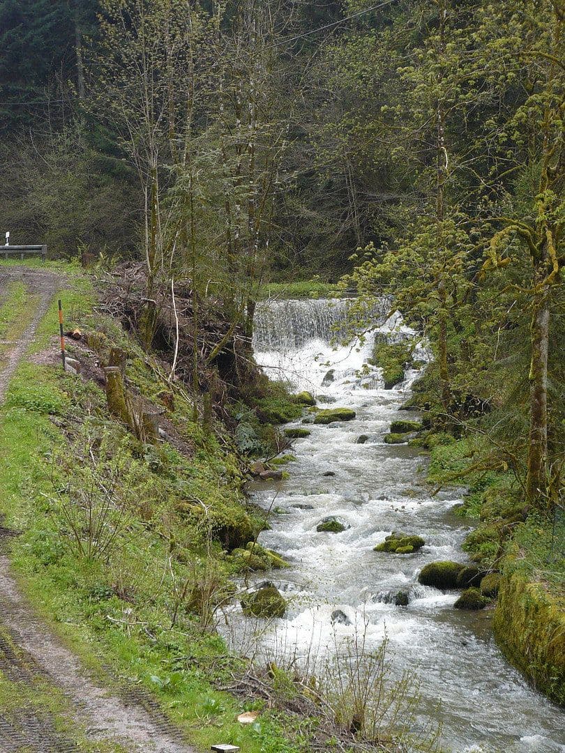 Prodej domu 200 m², pozemek 20.000 m², Alpirsbach, Bádensko-Württembersko Prodej domu 200 m², pozemek 20.000 m², Alpirsbach, Bádensko-Württembersko