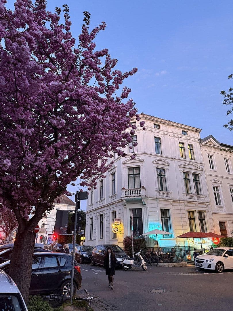 Pronájem bytu 2+1 56 m², Weberstr.41, Bonn, Severní Porýní-Vestfálsko Pronájem bytu 2+1 56 m², Weberstr.41, Bonn, Severní Porýní-Vestfálsko