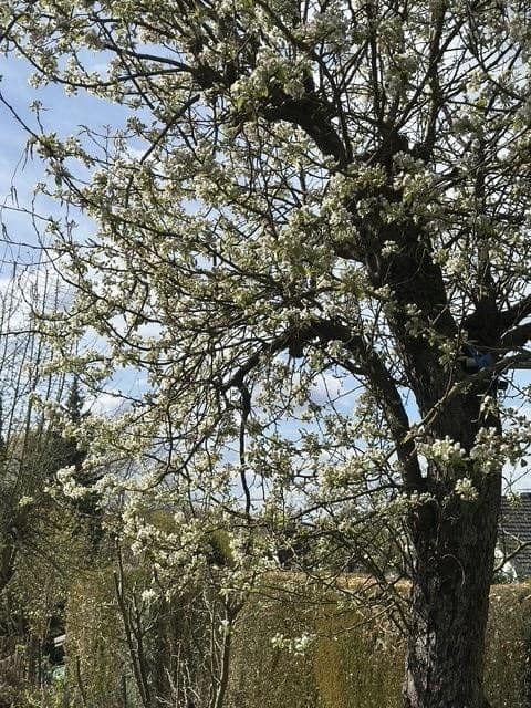 Prodej bytu 2+1 54 m², Hagen, Hohenlimburg, Severní Porýní-Vestfálsko Prodej bytu 2+1 54 m², Hagen, Hohenlimburg, Severní Porýní-Vestfálsko