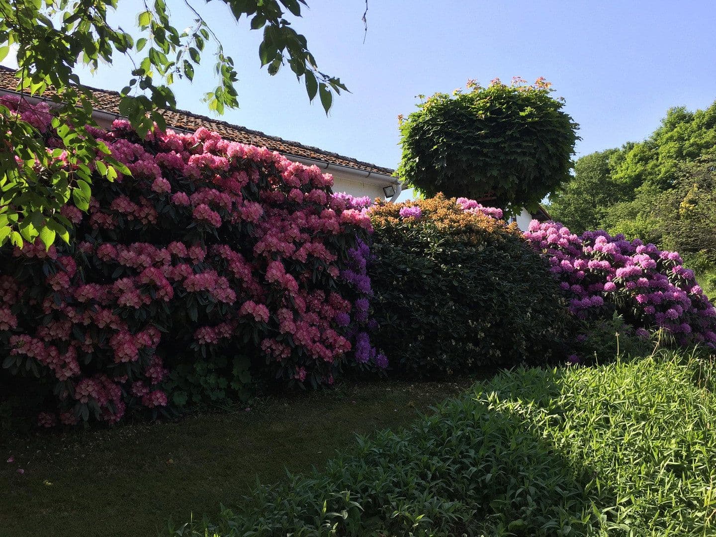 Prodej domu 253 m², pozemek 867 m², Heidenrod, Hessen Prodej domu 253 m², pozemek 867 m², Heidenrod, Hessen