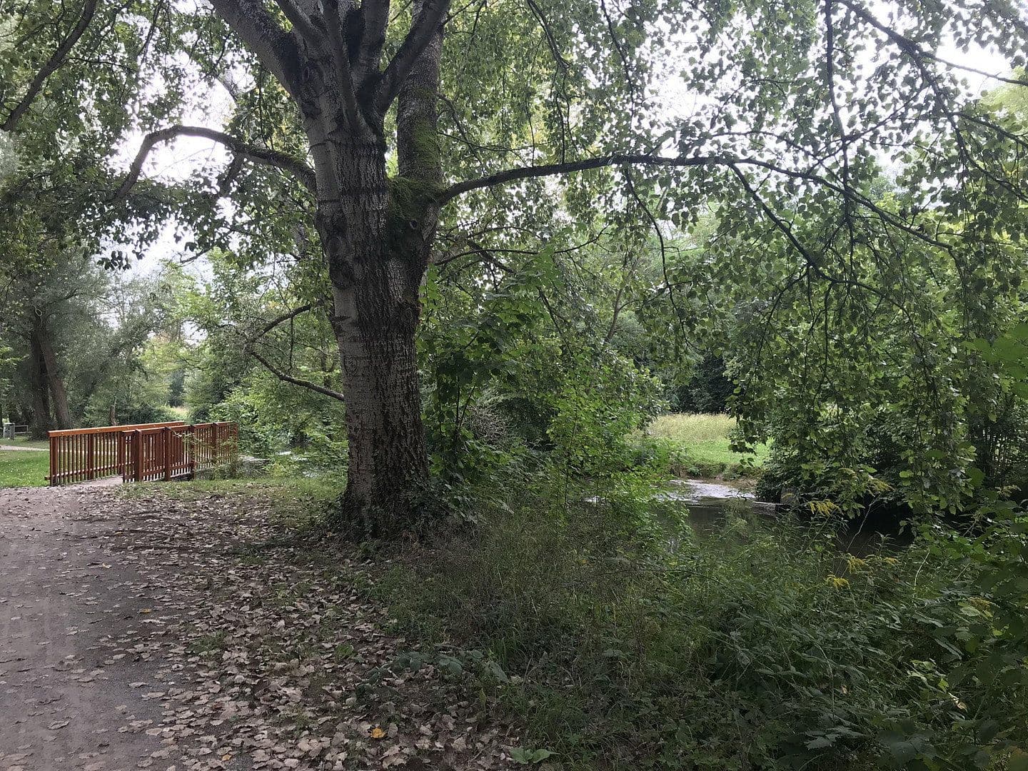 Prodej domu 157 m², pozemek 101 m², Karlsruhe, Bádensko-Württembersko Prodej domu 157 m², pozemek 101 m², Karlsruhe, Bádensko-Württembersko