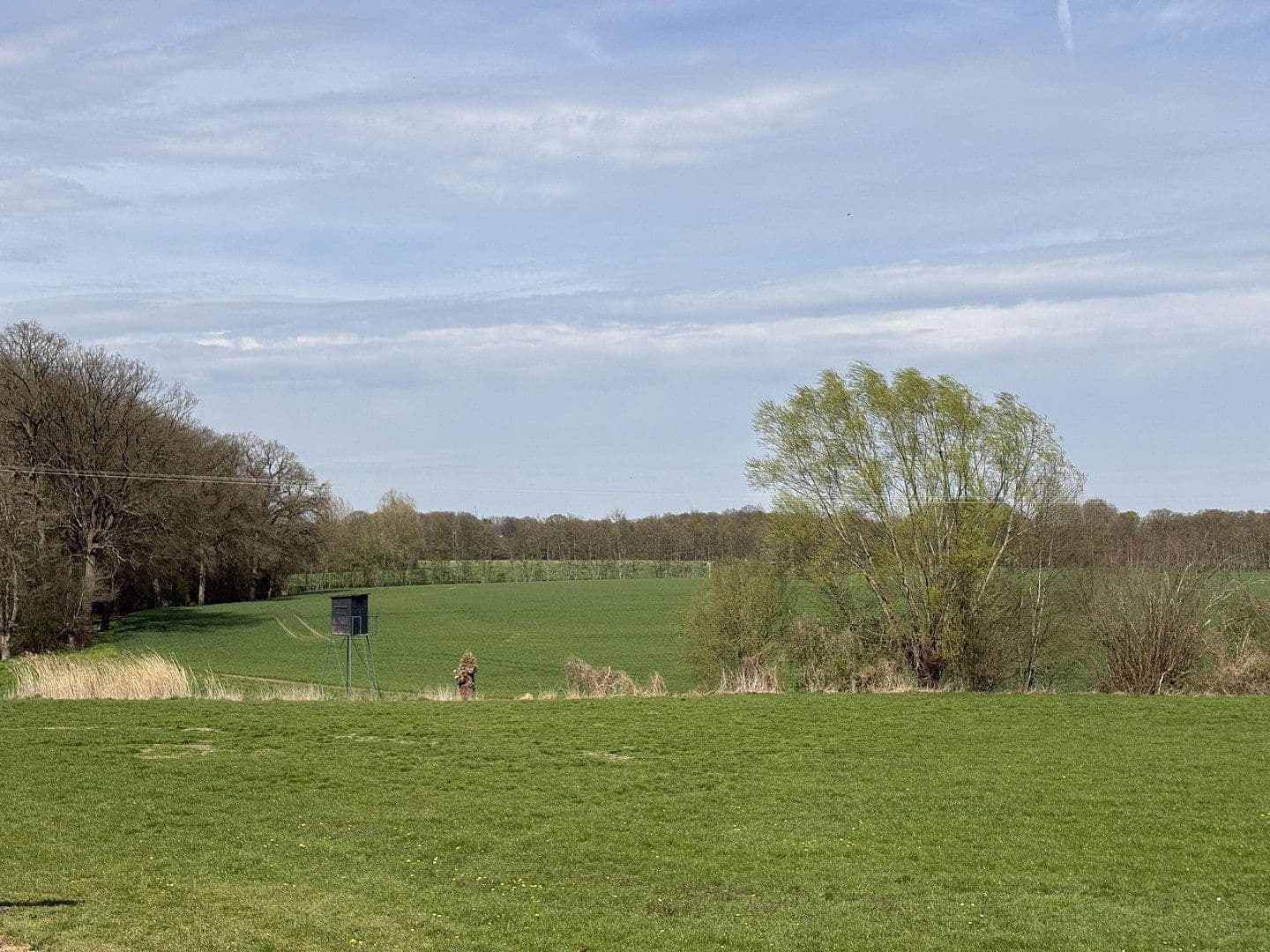 Pronájem bytu 4+1 116 m², Ostbevern, Severní Porýní-Vestfálsko Pronájem bytu 4+1 116 m², Ostbevern, Severní Porýní-Vestfálsko