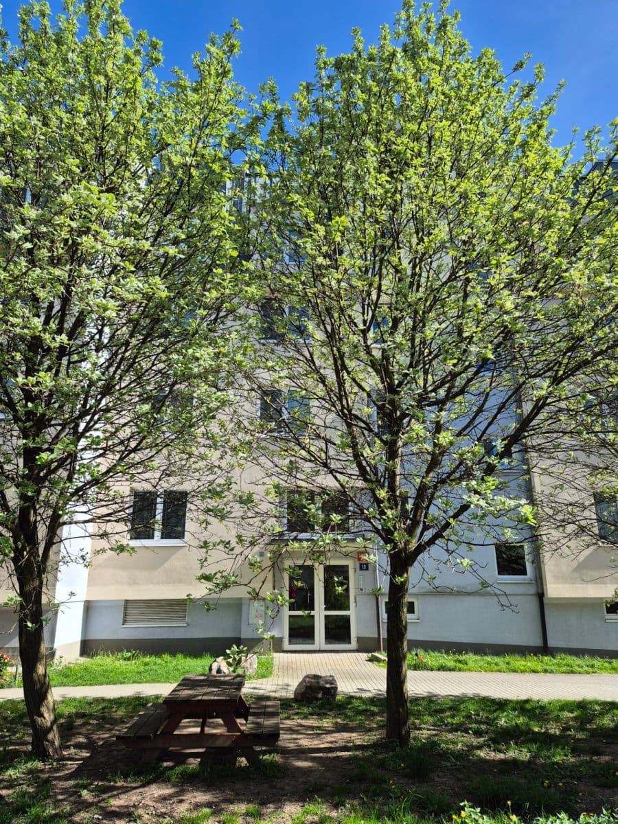 Pronájem bytu 3+kk 85 m², Divišovská, Praha, Praha Pronájem bytu 3+kk 85 m², Divišovská, Praha, Praha