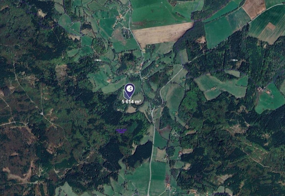 Prodej pozemku 5.614 m², Brloh, Jihočeský kraj Prodej pozemku 5.614 m², Brloh, Jihočeský kraj