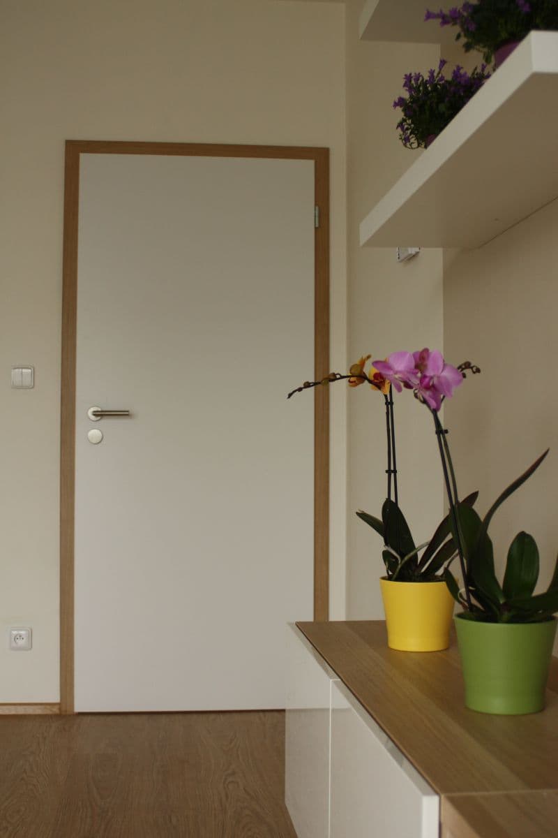 Pronájem bytu 2+kk 55 m², Sochorova, Brno, Jihomoravský kraj Pronájem bytu 2+kk 55 m², Sochorova, Brno, Jihomoravský kraj