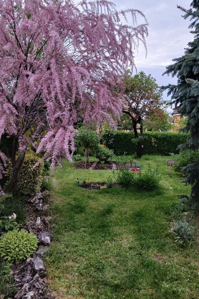 Prodej domu 158 m², pozemek 822 m², Třtinová, Praha, Praha Prodej domu 158 m², pozemek 822 m², Třtinová, Praha, Praha