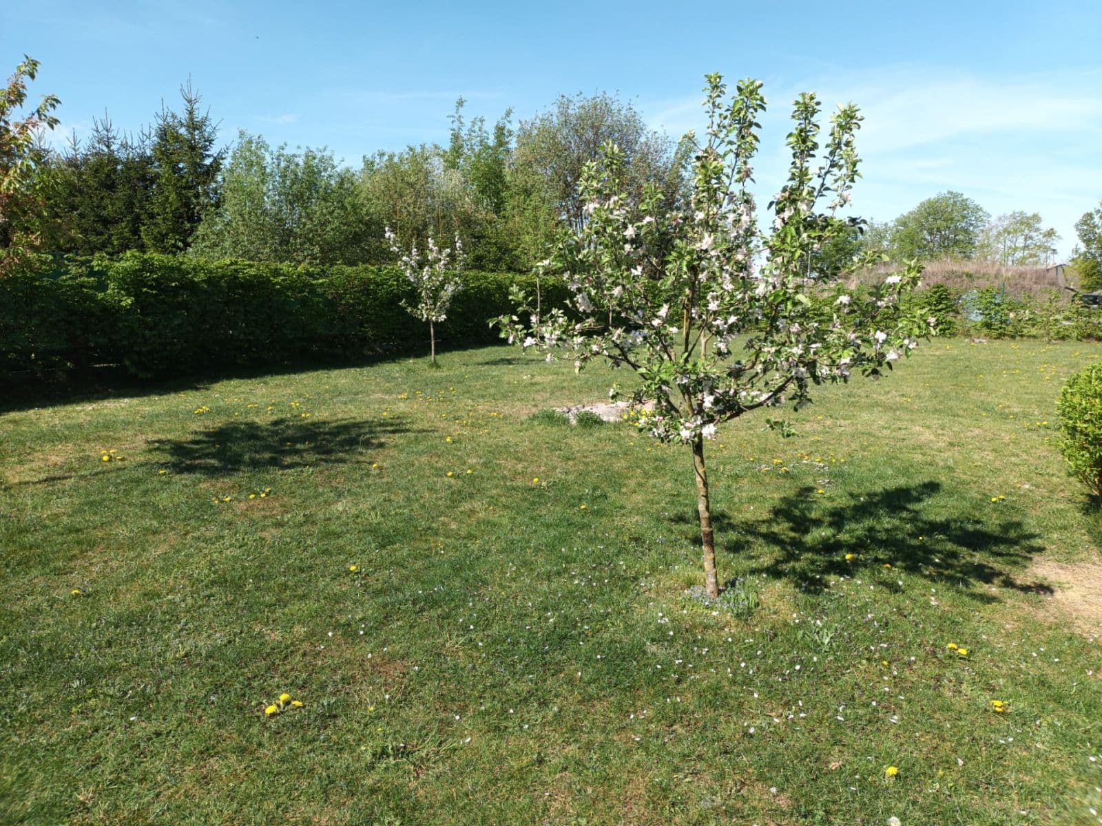 Prodej domu 318 m², pozemek 1.341 m², Soběslav, Jihočeský kraj Prodej domu 318 m², pozemek 1.341 m², Soběslav, Jihočeský kraj