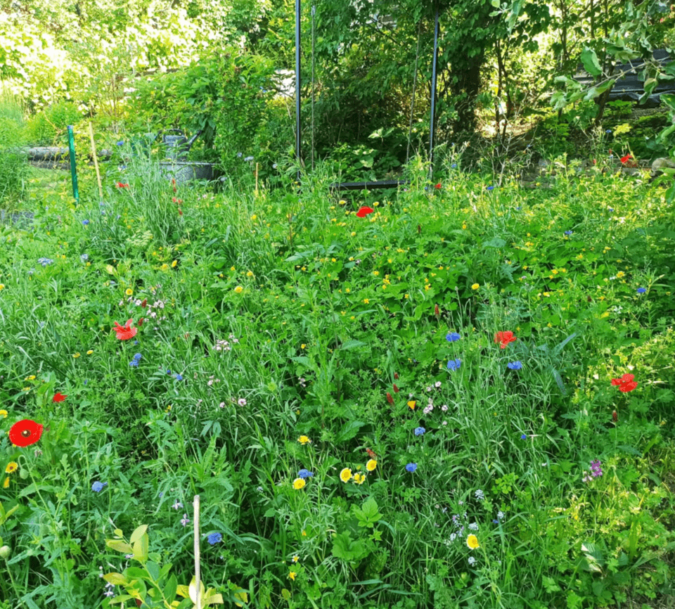 Prodej chaty, chalupy 25 m², pozemek 340 m², Na Okrouhlíku, Praha, Praha Prodej chaty, chalupy 25 m², pozemek 340 m², Na Okrouhlíku, Praha, Praha