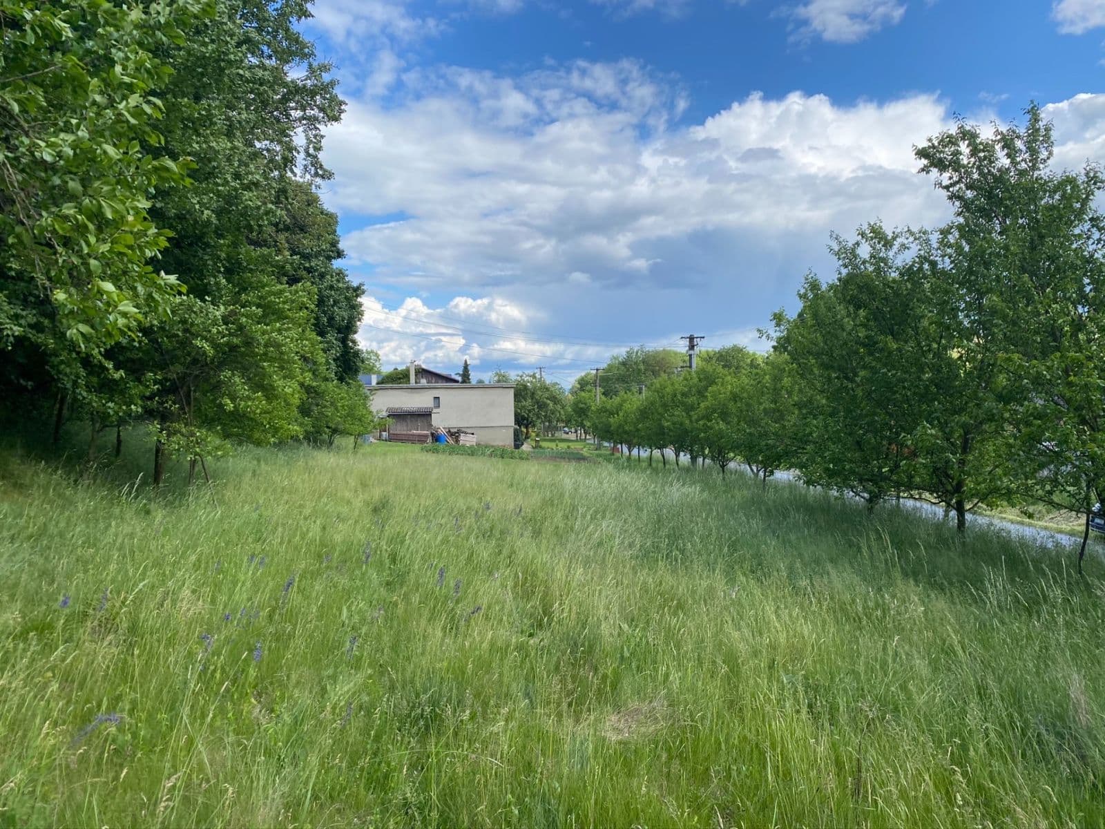 Prodej pozemku 1.467 m², Břestek, Zlínský kraj Prodej pozemku 1.467 m², Břestek, Zlínský kraj