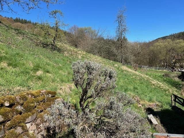 Prodej domu 160 m², pozemek 976 m², Schönbrunn, Bádensko-Württembersko Prodej domu 160 m², pozemek 976 m², Schönbrunn, Bádensko-Württembersko