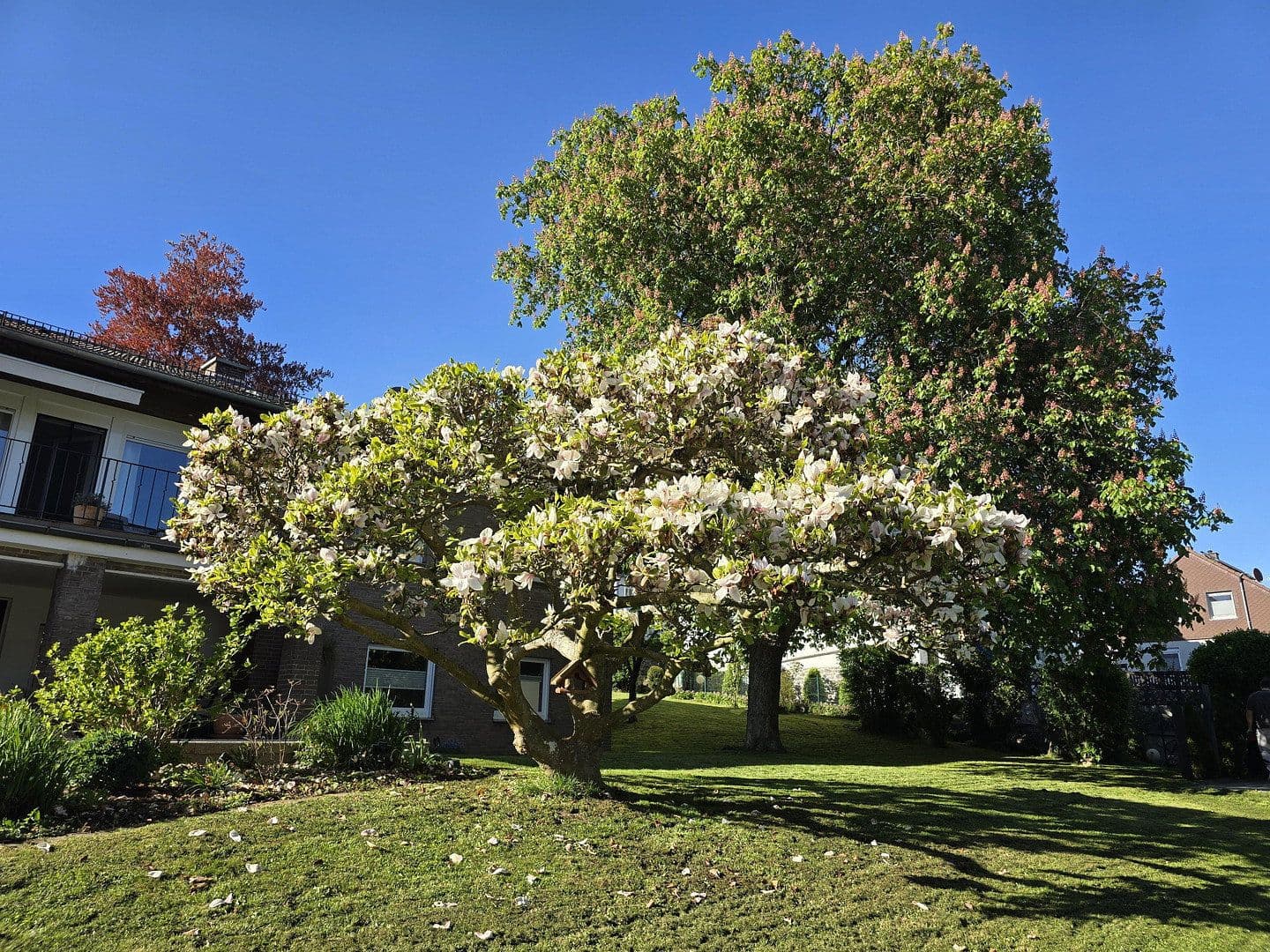 Prodej domu 240 m², pozemek 1.500 m², Hans-Staden-Allee 6, Homberg (Efze), Hessen Prodej domu 240 m², pozemek 1.500 m², Hans-Staden-Allee 6, Homberg (Efze), Hessen