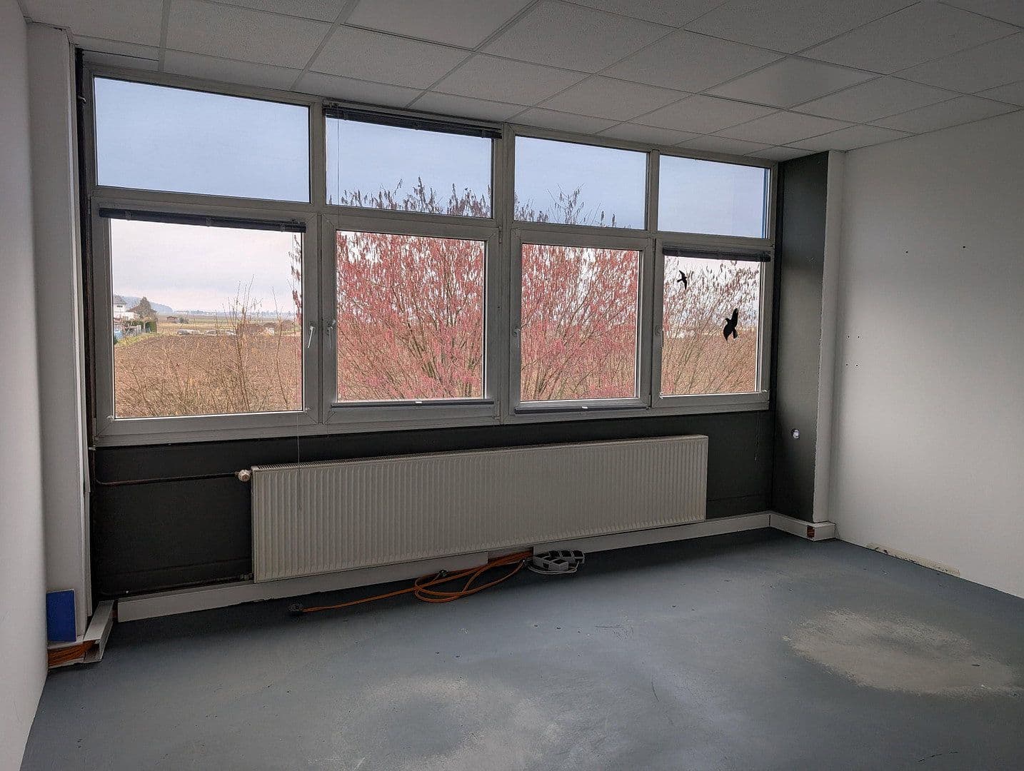 Pronájem nebytového prostoru 4.000 m², Werkstraße 3, Buch, Bavorsko Pronájem nebytového prostoru 4.000 m², Werkstraße 3, Buch, Bavorsko