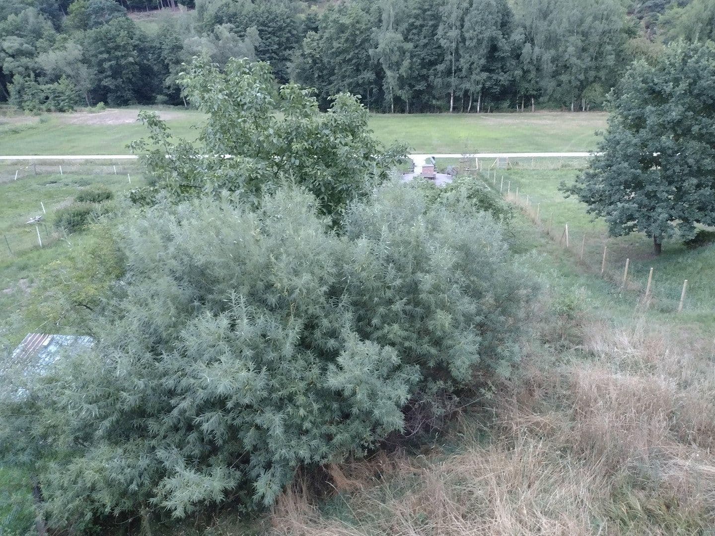 Prodej pozemku 581 m², Heimbuchenthal, Bavorsko Prodej pozemku 581 m², Heimbuchenthal, Bavorsko