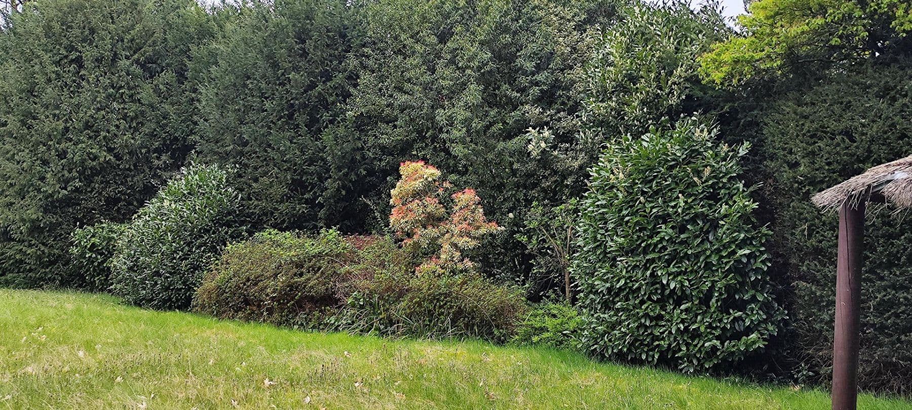 Prodej pozemku 1.646 m², Verschaffeltstr.4, Düsseldorf, Severní Porýní-Vestfálsko Prodej pozemku 1.646 m², Verschaffeltstr.4, Düsseldorf, Severní Porýní-Vestfálsko