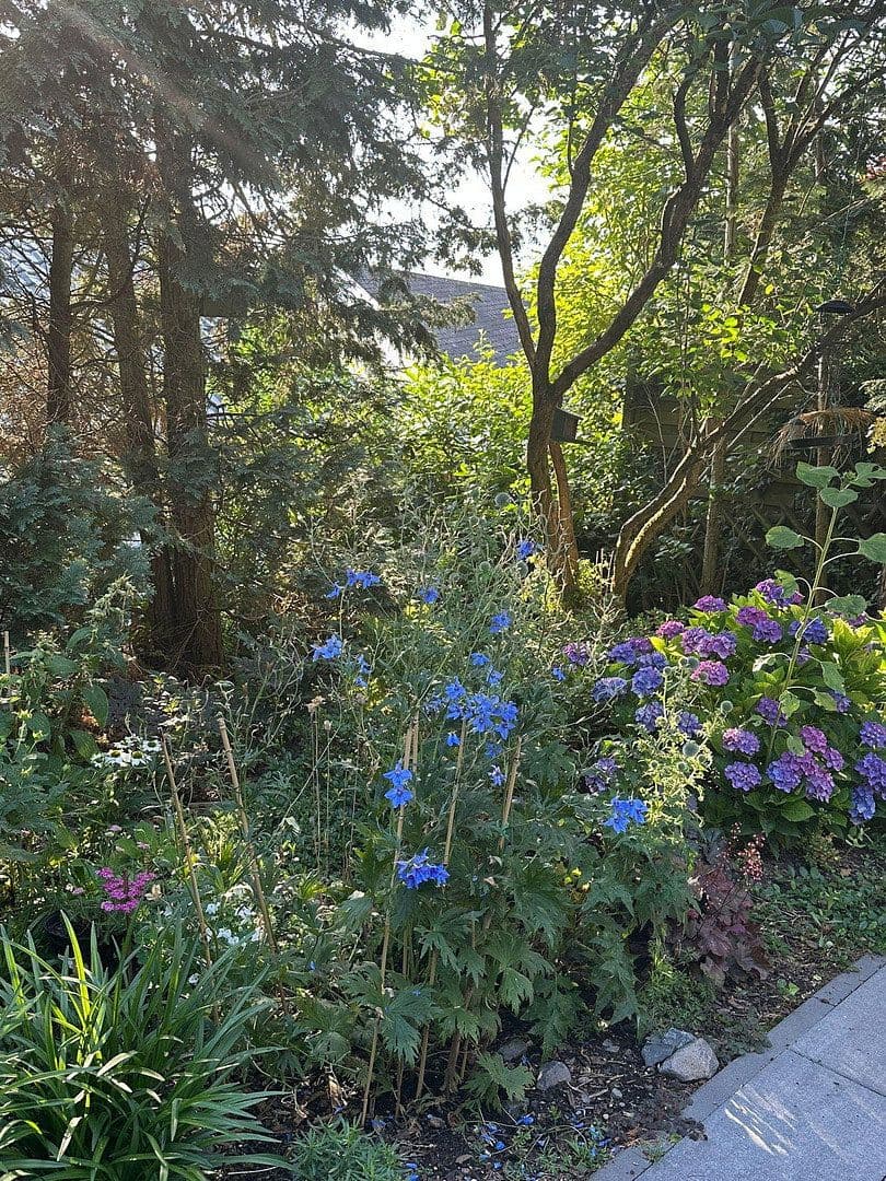 Pronájem bytu 4+1 210 m², Koblenz, Porýní-Falc Pronájem bytu 4+1 210 m², Koblenz, Porýní-Falc