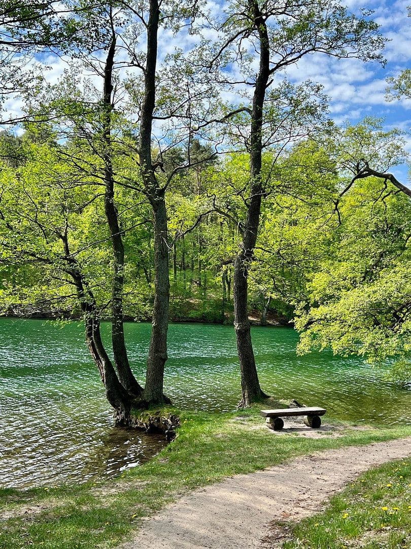 Prodej domu 90 m², pozemek 400 m², Feldberger Seenlandschaft, Mecklenburg-Vorpommern Prodej domu 90 m², pozemek 400 m², Feldberger Seenlandschaft, Mecklenburg-Vorpommern