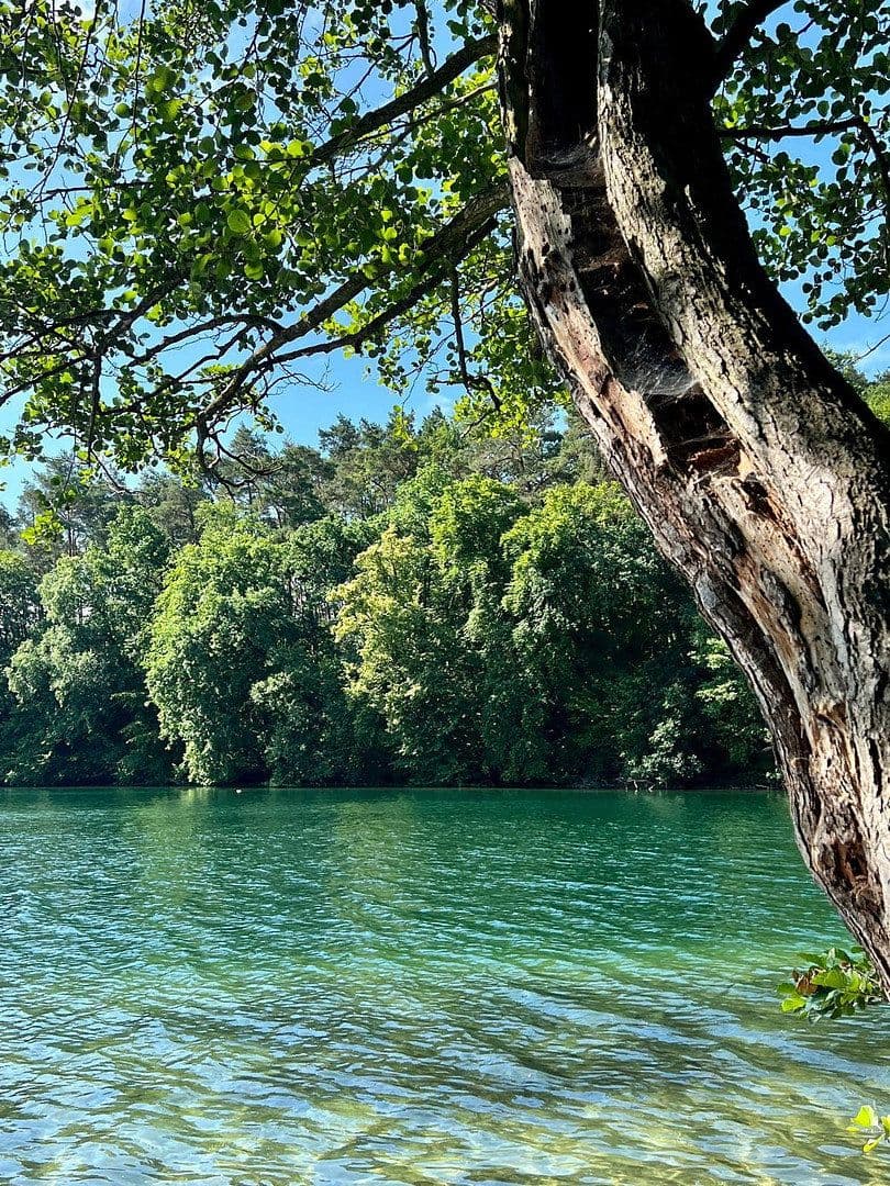 Prodej domu 90 m², pozemek 400 m², Feldberger Seenlandschaft, Mecklenburg-Vorpommern Prodej domu 90 m², pozemek 400 m², Feldberger Seenlandschaft, Mecklenburg-Vorpommern