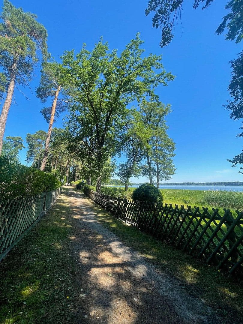 Pronájem bytu 3+1 84 m², Friedrich-Engels-Damm 83a, Bad Saarow, Braniborsko Pronájem bytu 3+1 84 m², Friedrich-Engels-Damm 83a, Bad Saarow, Braniborsko