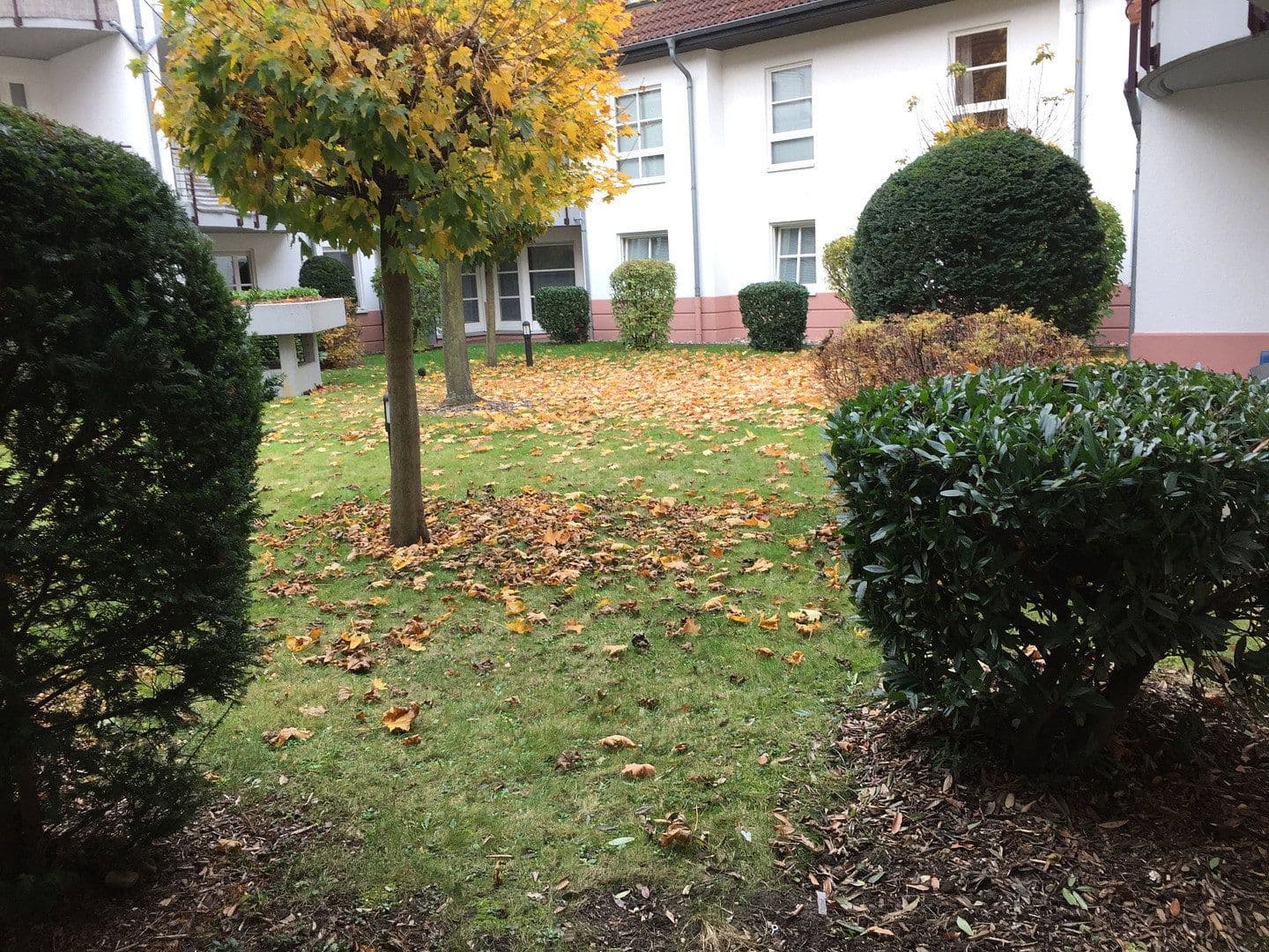 Pronájem bytu 2+1 50 m², Sterrenhofweg 43, Köln, Severní Porýní-Vestfálsko Pronájem bytu 2+1 50 m², Sterrenhofweg 43, Köln, Severní Porýní-Vestfálsko