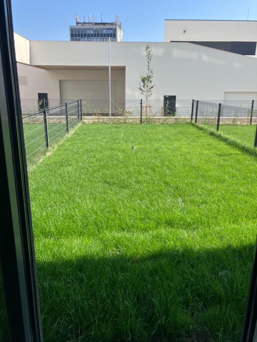 Pronájem bytu 1+kk 38 m², Komárovská, Brno, Jihomoravský kraj Pronájem bytu 1+kk 38 m², Komárovská, Brno, Jihomoravský kraj