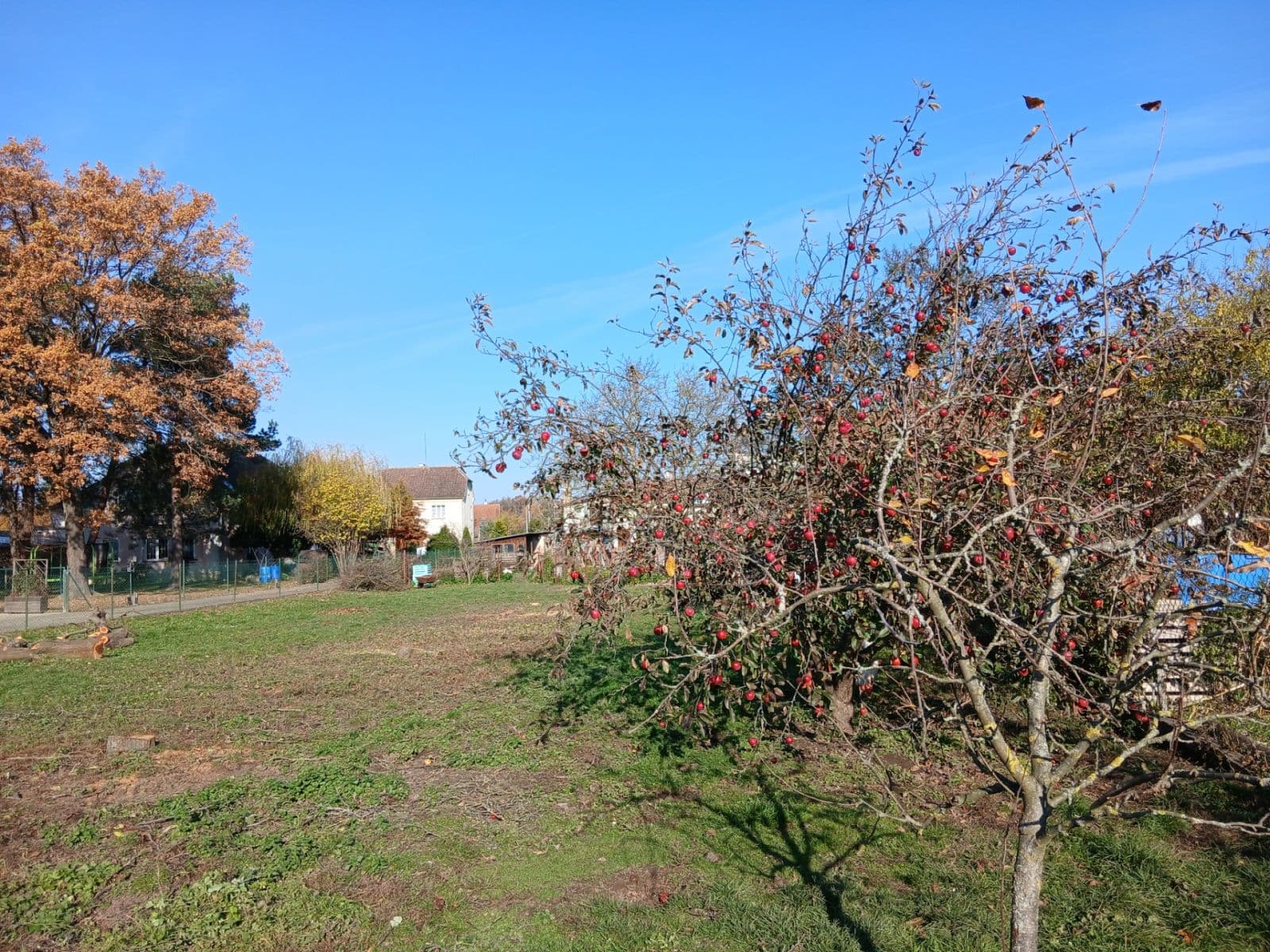 Prodej pozemku 853 m², Borovská, Praha, Praha Prodej pozemku 853 m², Borovská, Praha, Praha