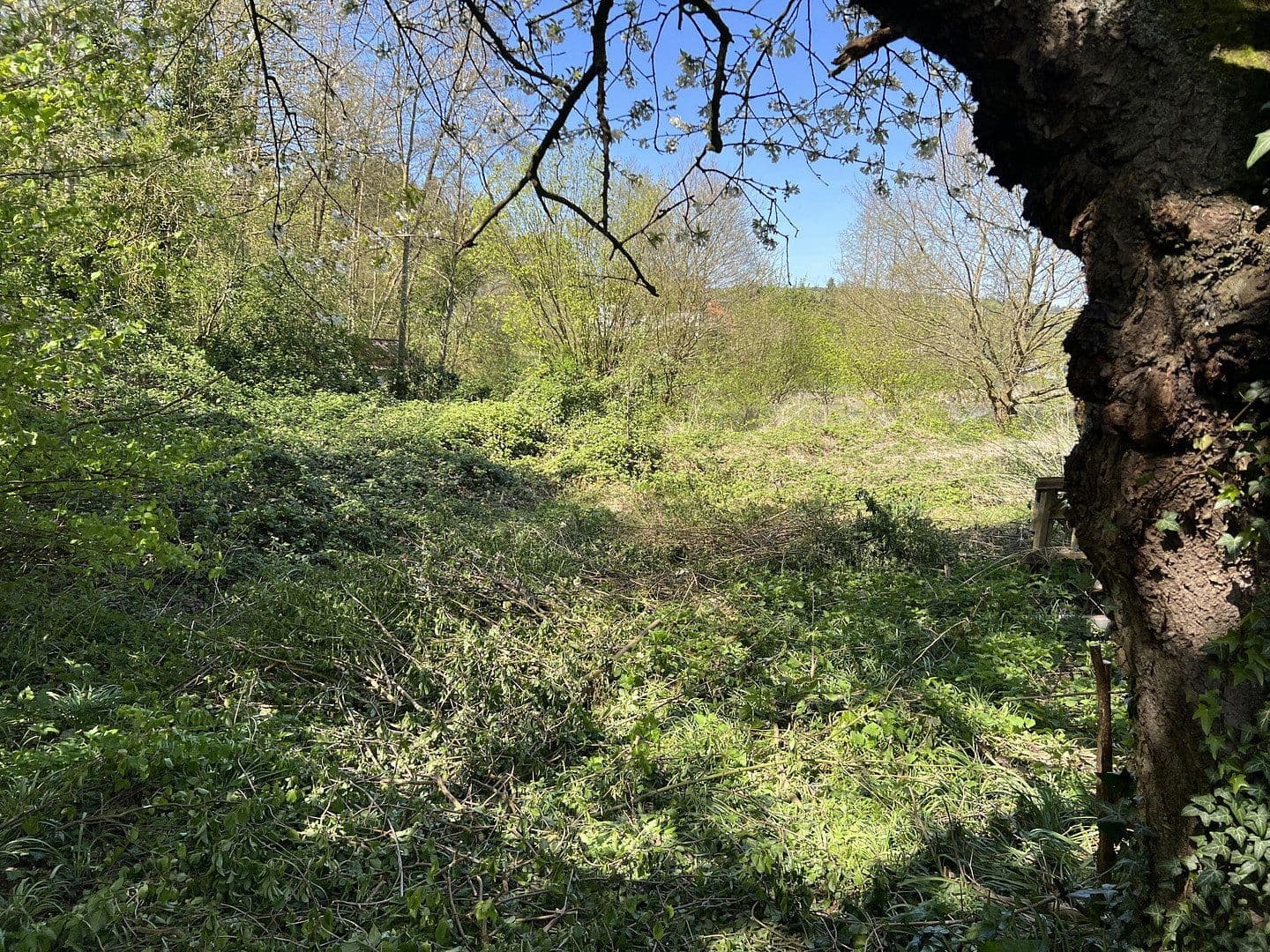 Prodej domu 155 m², pozemek 2.833 m², Neue Mühler Weg 4, Preußisch Oldendorf, Severní Porýní-Vestfálsko Prodej domu 155 m², pozemek 2.833 m², Neue Mühler Weg 4, Preußisch Oldendorf, Severní Porýní-Vestfálsko