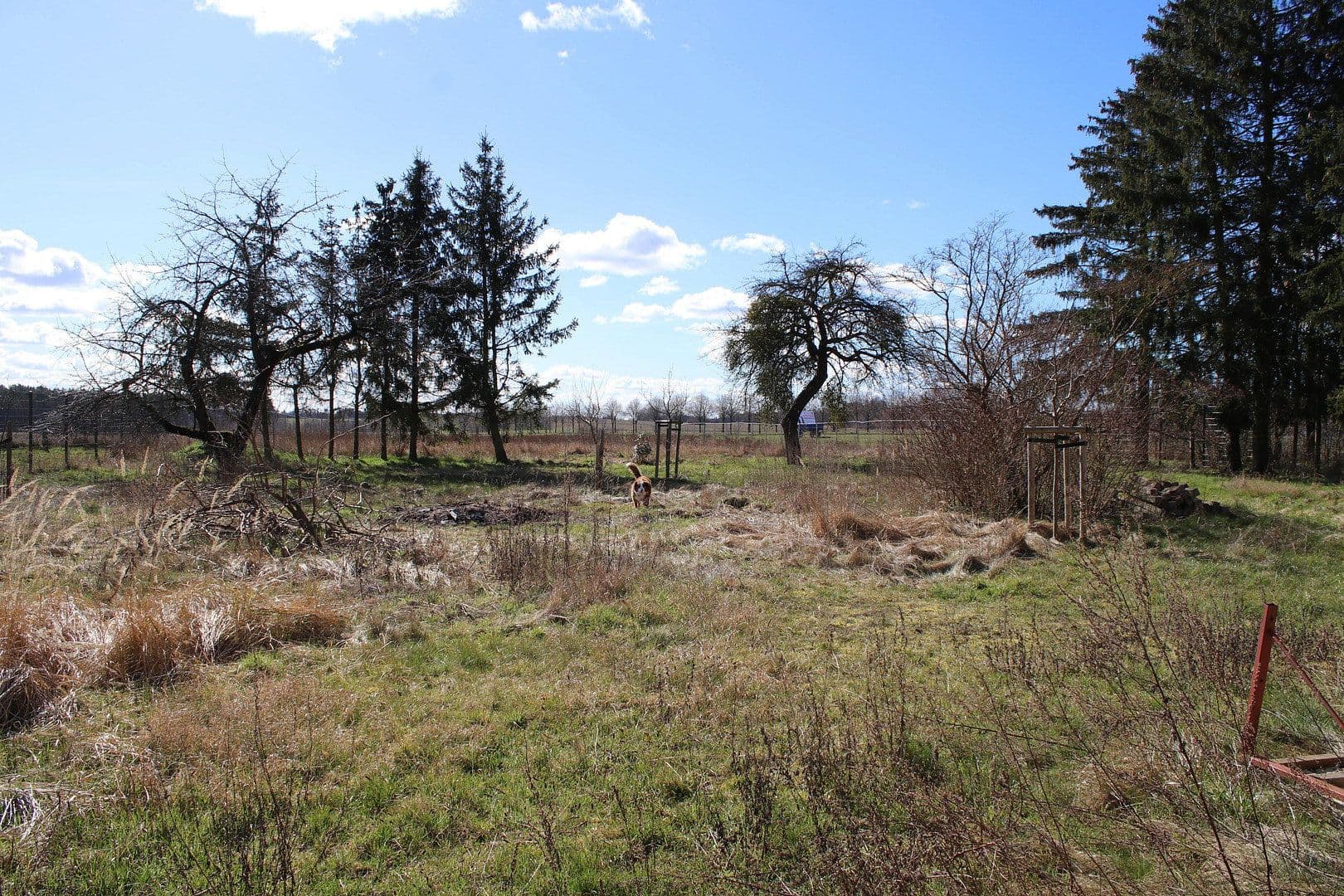Prodej domu 210 m², pozemek 5.594 m², Klosterwalder Dorfstraße 40, Templin, Braniborsko Prodej domu 210 m², pozemek 5.594 m², Klosterwalder Dorfstraße 40, Templin, Braniborsko