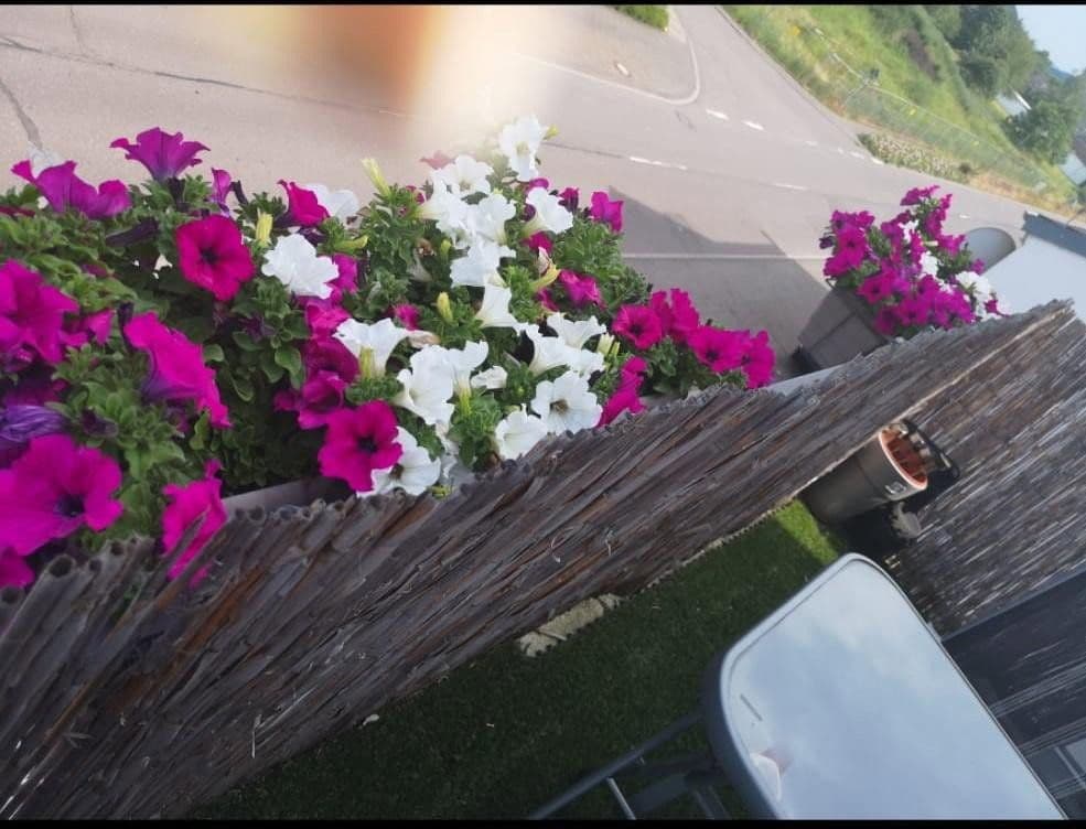 Pronájem bytu 2+1 60 m², Könener Str. 71, Konz, Porýní-Falc Pronájem bytu 2+1 60 m², Könener Str. 71, Konz, Porýní-Falc