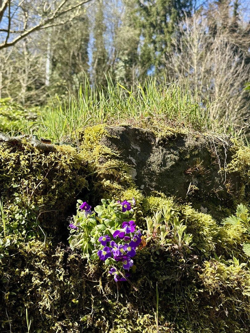 Pronájem bytu 3+1 80 m², Calw, Bádensko-Württembersko Pronájem bytu 3+1 80 m², Calw, Bádensko-Württembersko