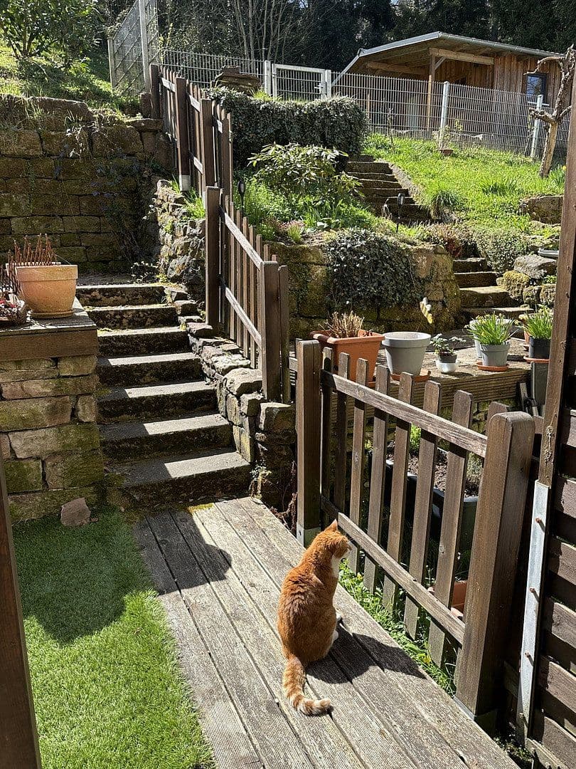 Pronájem bytu 3+1 80 m², Calw, Bádensko-Württembersko Pronájem bytu 3+1 80 m², Calw, Bádensko-Württembersko