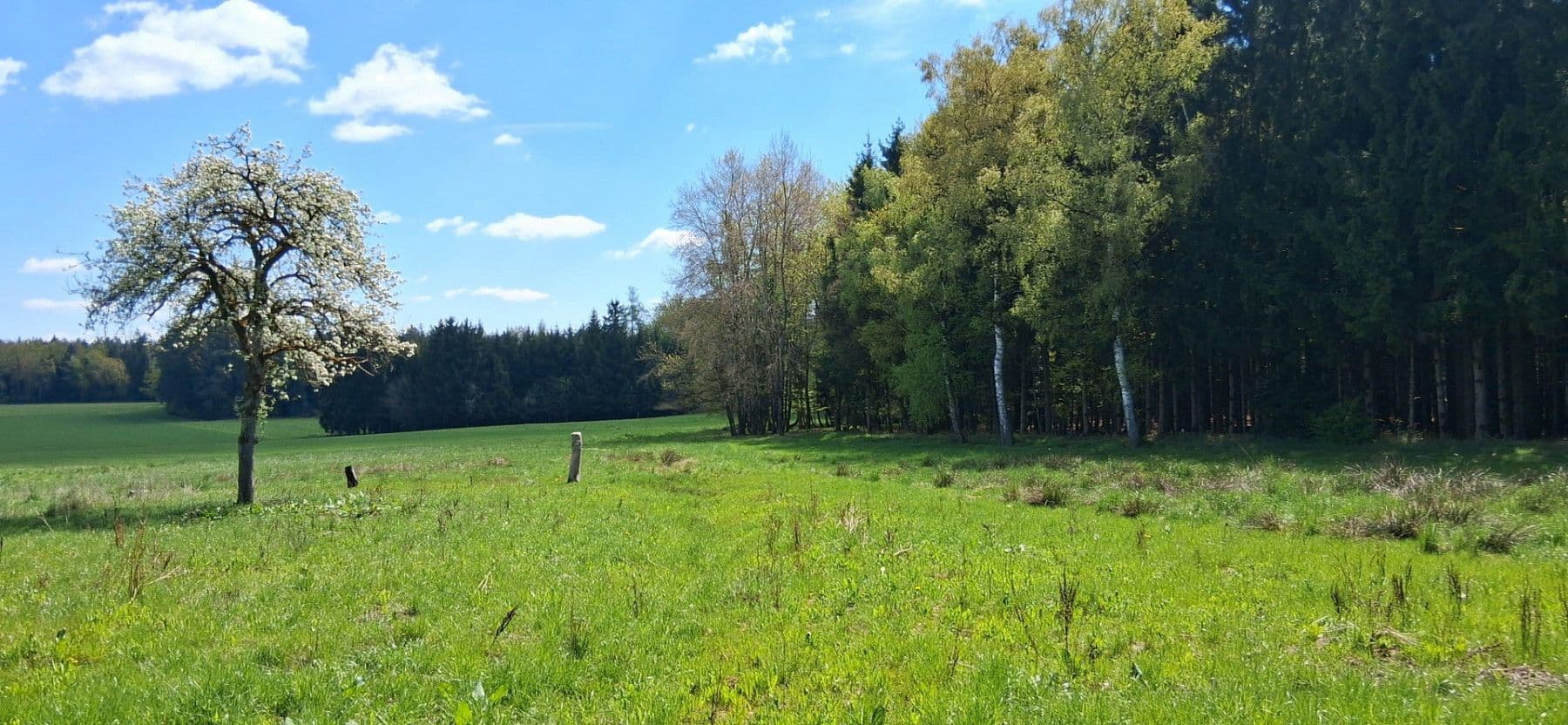 Prodej pozemku 12.500 m², Tölzenöd 2, Egglham, Bavorsko Prodej pozemku 12.500 m², Tölzenöd 2, Egglham, Bavorsko