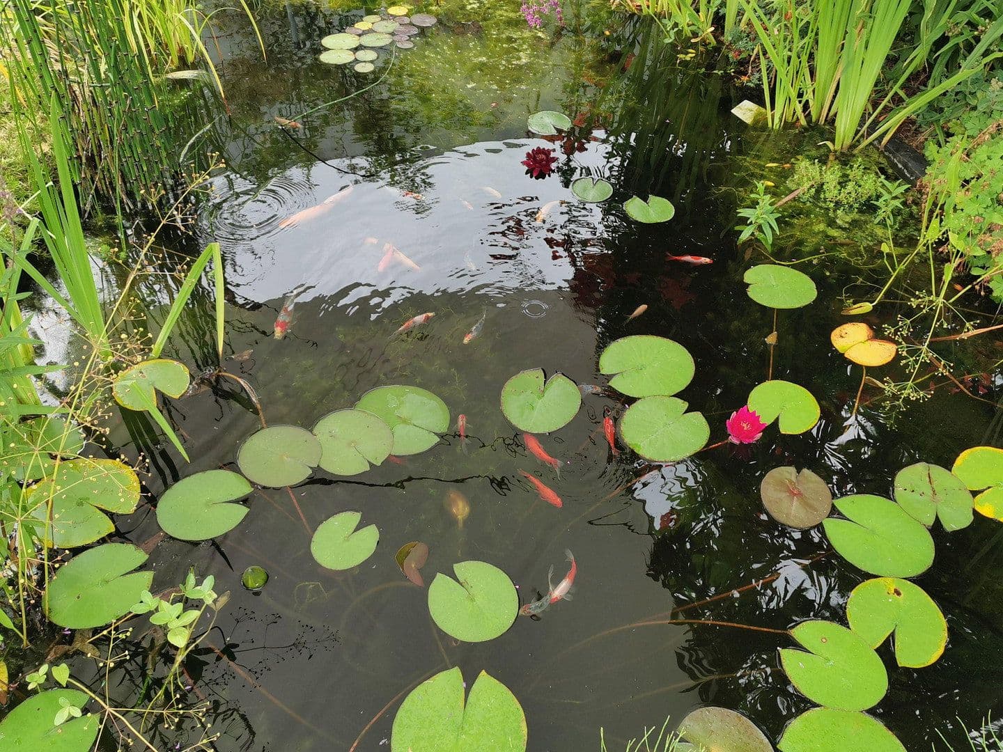 Prodej domu 80 m², pozemek 407 m², Dieburg, Hessen Prodej domu 80 m², pozemek 407 m², Dieburg, Hessen