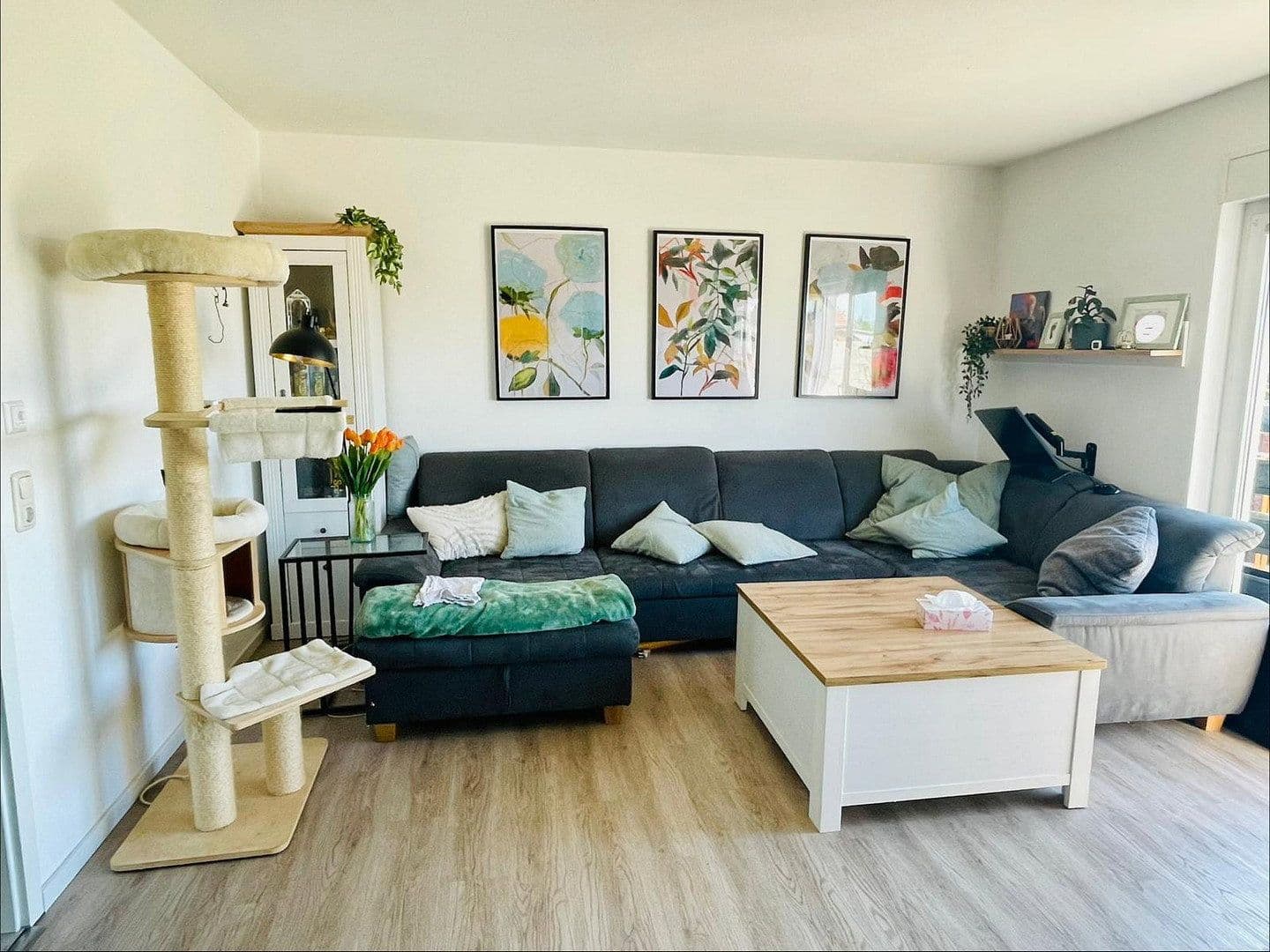 Pronájem domu 110 m², pozemek 400 m², Am Baalberger Sportplatz 5 b, Bernburg, Sasko-Anhaltsko Pronájem domu 110 m², pozemek 400 m², Am Baalberger Sportplatz 5 b, Bernburg, Sasko-Anhaltsko
