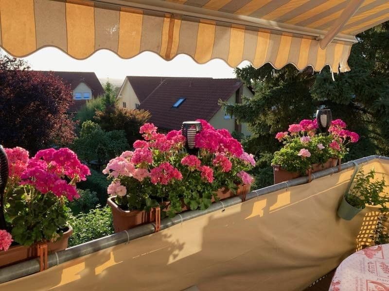 Prodej bytu 2+1 53 m², Pirna, Sasko Prodej bytu 2+1 53 m², Pirna, Sasko