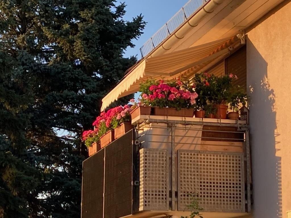 Prodej bytu 2+1 53 m², Pirna, Sasko Prodej bytu 2+1 53 m², Pirna, Sasko