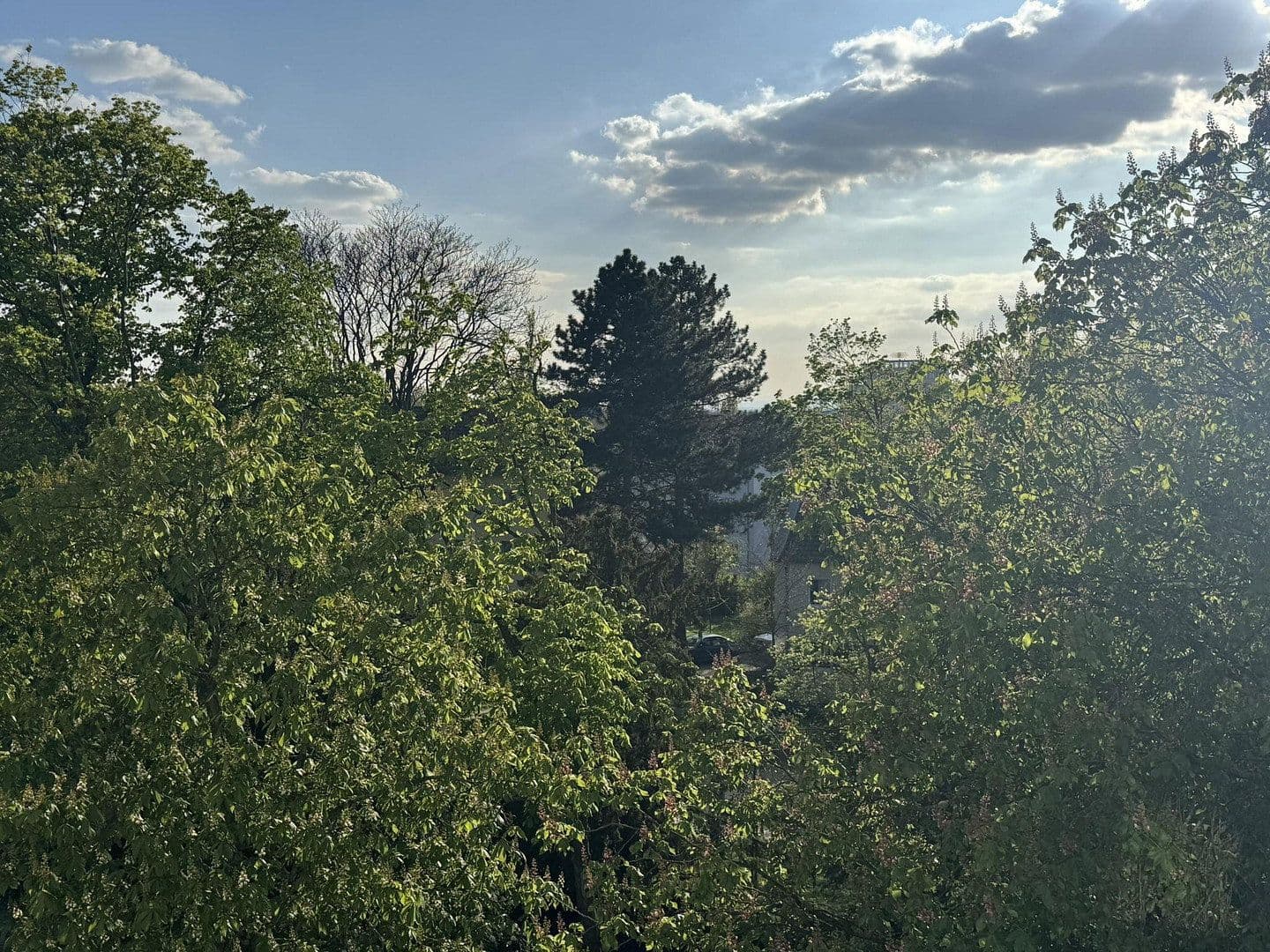 Prodej bytu 2+kk 57 m², Darmstadt, Hessen Prodej bytu 2+kk 57 m², Darmstadt, Hessen