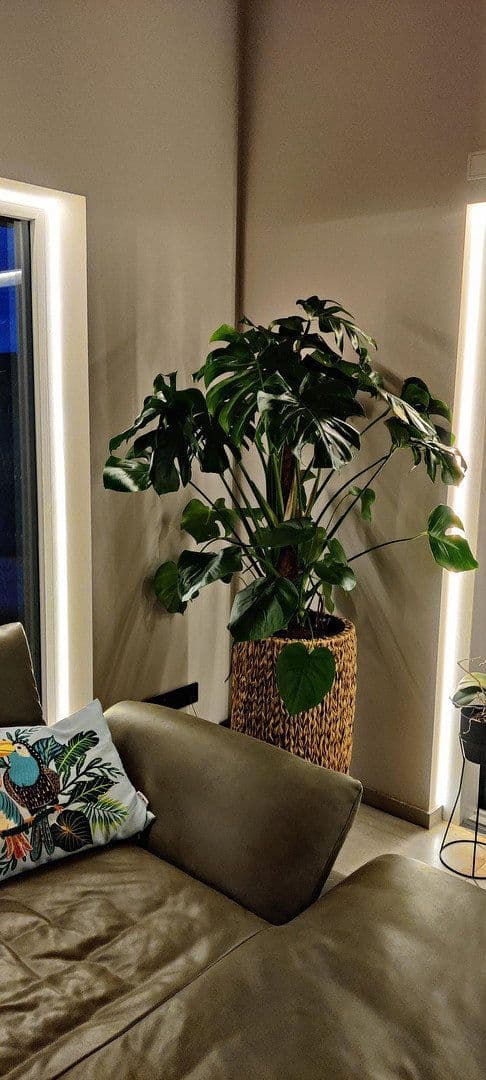 Prodej domu 178 m², pozemek 680 m², Langensendelbach, Bavorsko Prodej domu 178 m², pozemek 680 m², Langensendelbach, Bavorsko