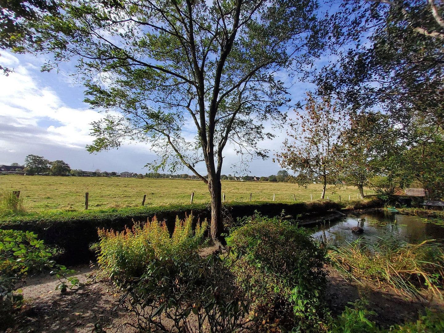 Prodej domu 264 m², pozemek 1.464 m², Wesselburen, Šlesvicko-Holštýnsko Prodej domu 264 m², pozemek 1.464 m², Wesselburen, Šlesvicko-Holštýnsko