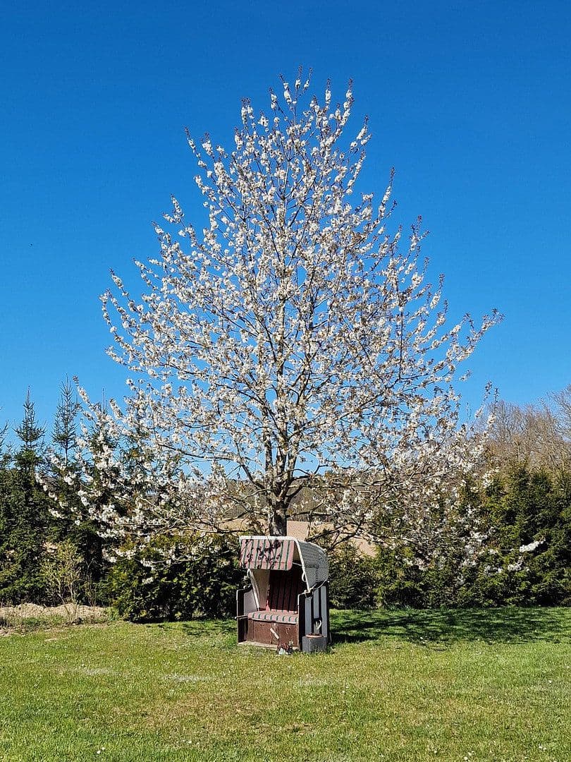 Prodej domu 220 m², pozemek 2.235 m², Garz, Mecklenburg-Vorpommern Prodej domu 220 m², pozemek 2.235 m², Garz, Mecklenburg-Vorpommern