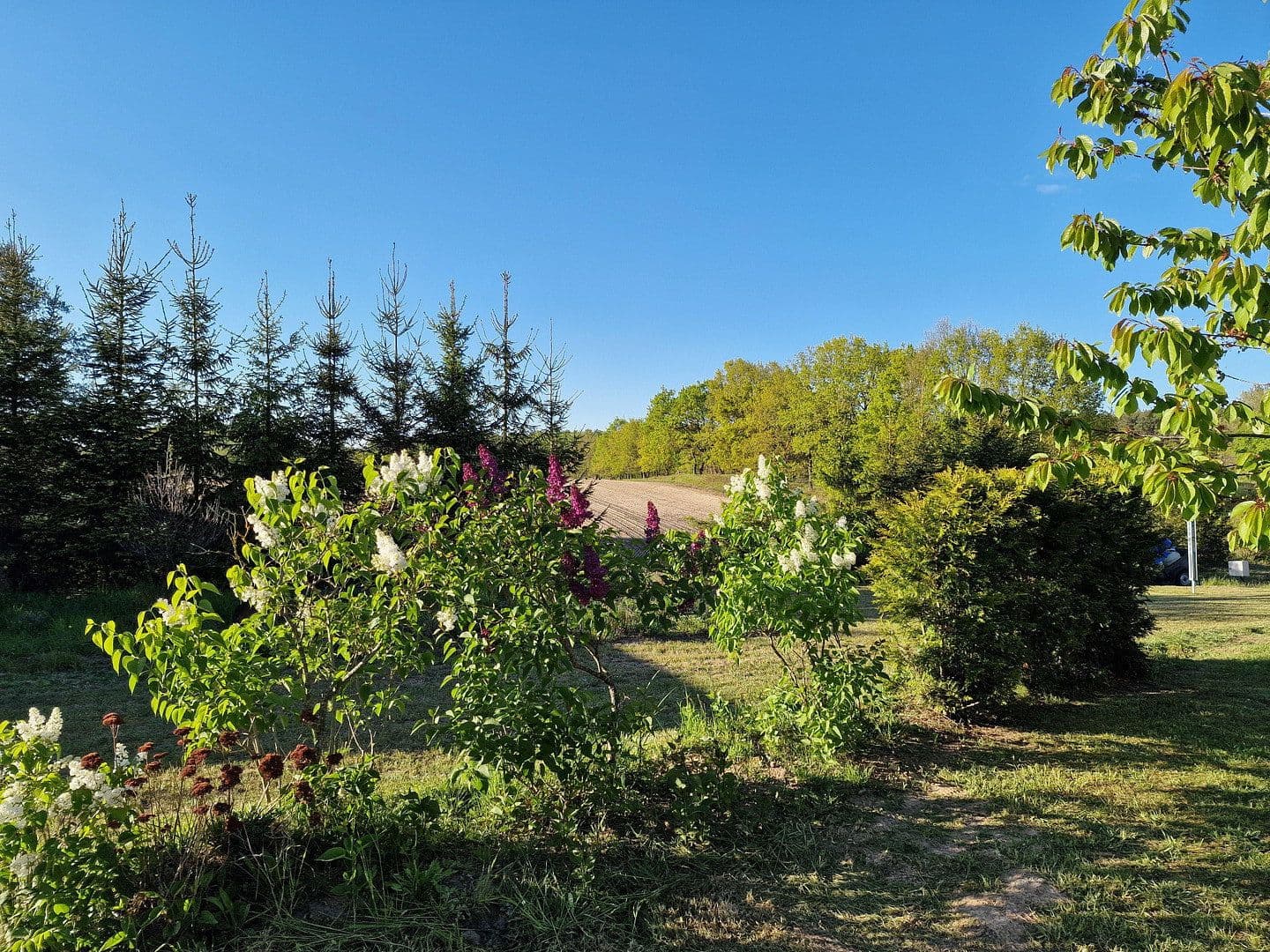 Prodej domu 220 m², pozemek 2.235 m², Garz, Mecklenburg-Vorpommern Prodej domu 220 m², pozemek 2.235 m², Garz, Mecklenburg-Vorpommern