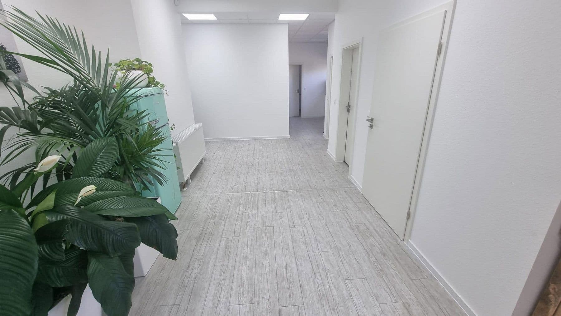 Prodej nebytového prostoru 2.800 m², Bauhofstr. 24, Lampertheim, Hessen Prodej nebytového prostoru 2.800 m², Bauhofstr. 24, Lampertheim, Hessen