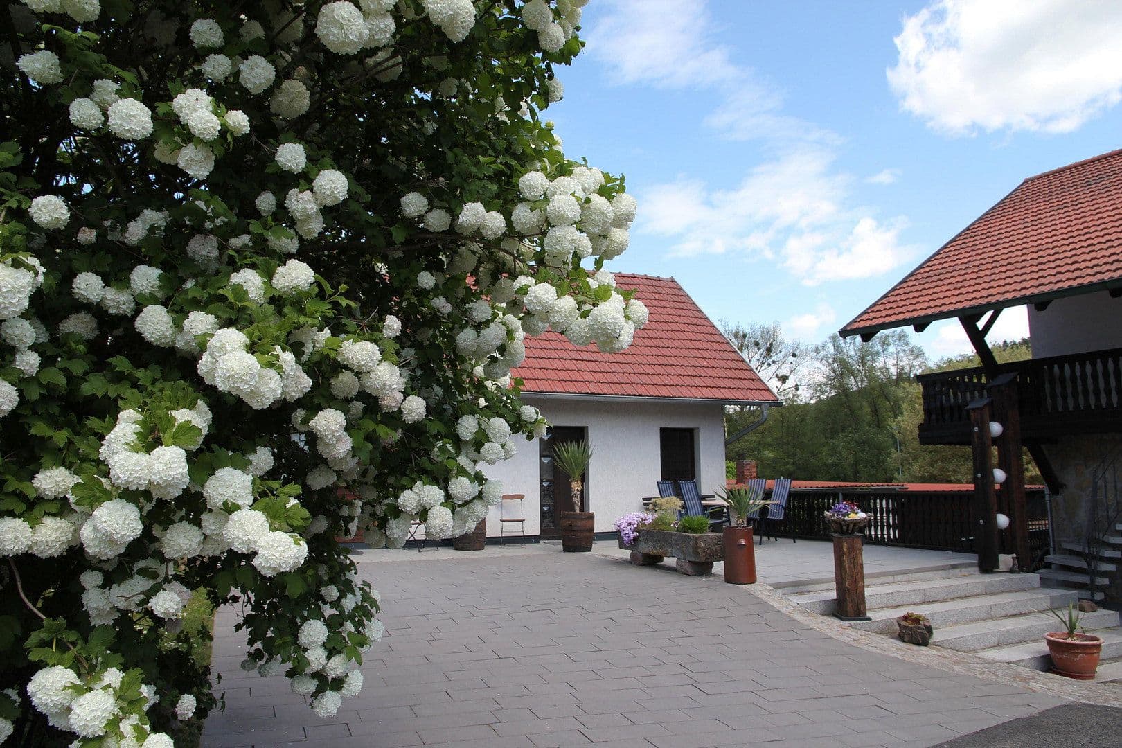 Prodej domu 585 m², pozemek 3.182 m², Rippershausen, Durynsko Prodej domu 585 m², pozemek 3.182 m², Rippershausen, Durynsko