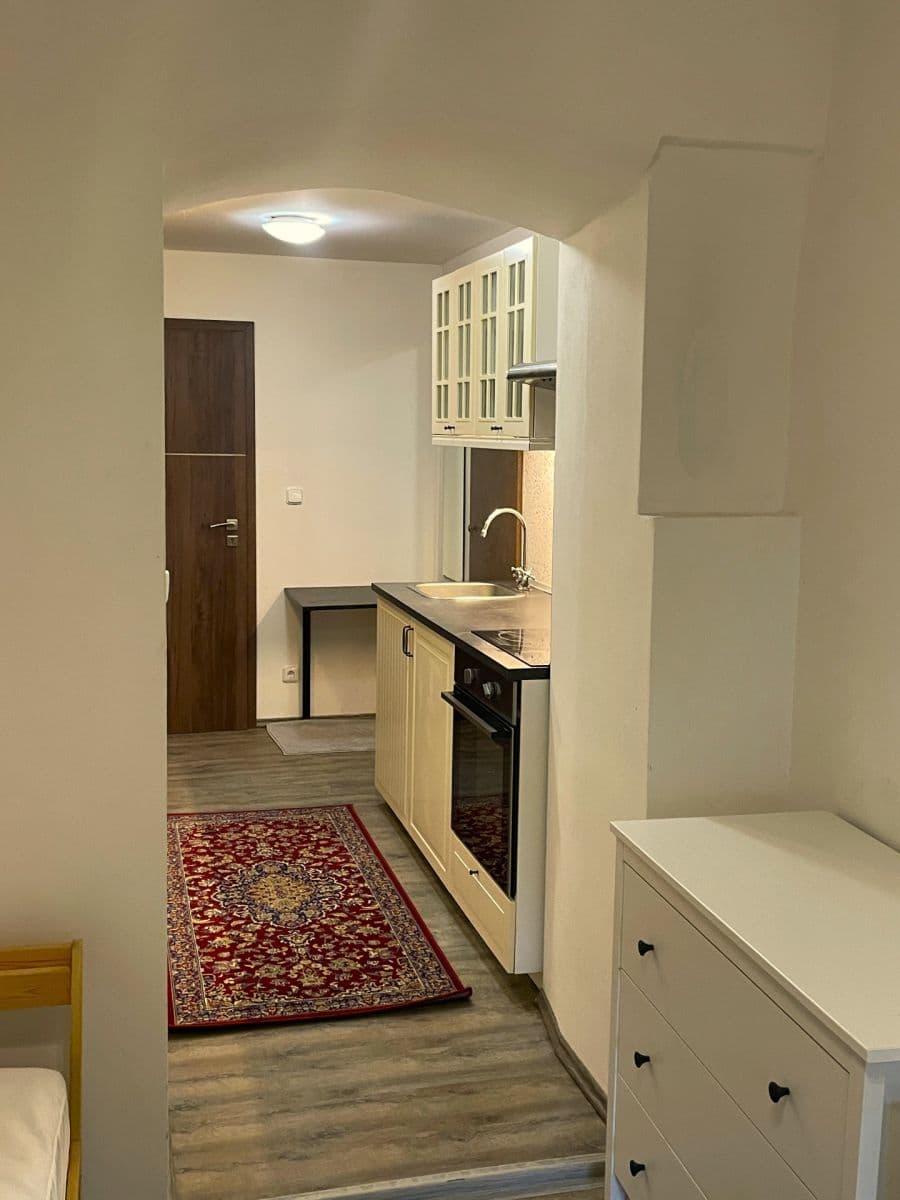 Pronájem bytu 1+kk 17 m², Na Cikánce, Praha, Praha Pronájem bytu 1+kk 17 m², Na Cikánce, Praha, Praha