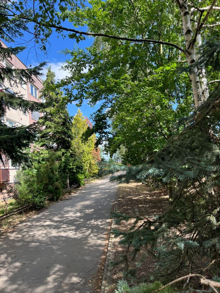 Pronájem bytu 2+1 43 m², Slavínského, Praha, Praha Pronájem bytu 2+1 43 m², Slavínského, Praha, Praha