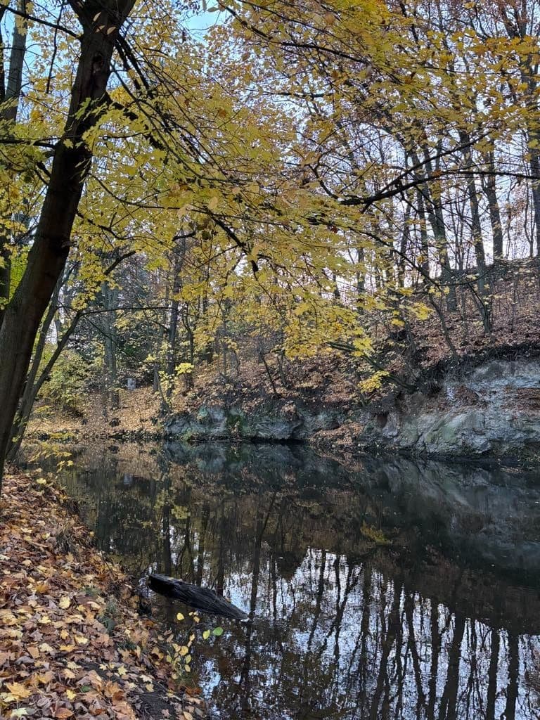 Prodej pozemku 863 m², Plzeň, Plzeňský kraj Prodej pozemku 863 m², Plzeň, Plzeňský kraj