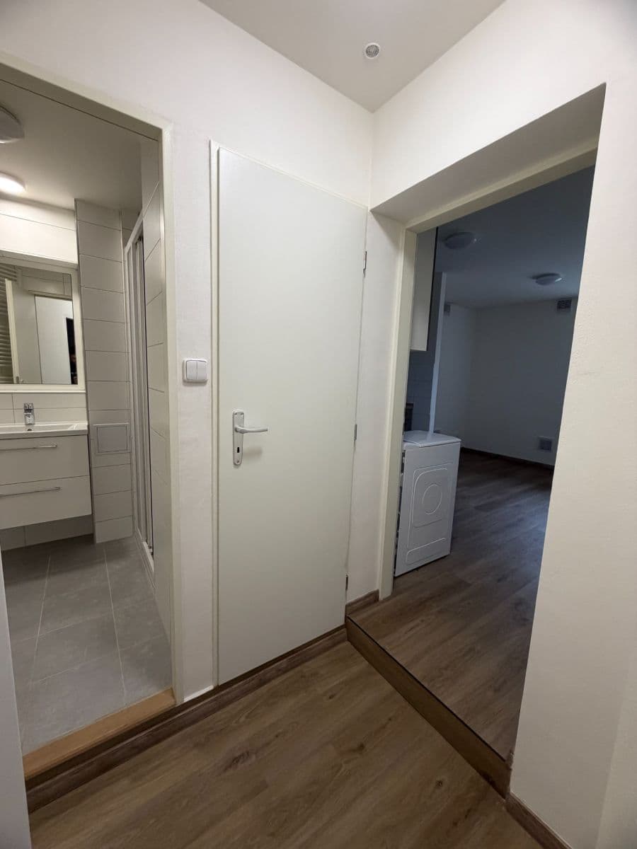 Pronájem bytu 1+kk 25 m², Vodova, Brno, Jihomoravský kraj Pronájem bytu 1+kk 25 m², Vodova, Brno, Jihomoravský kraj