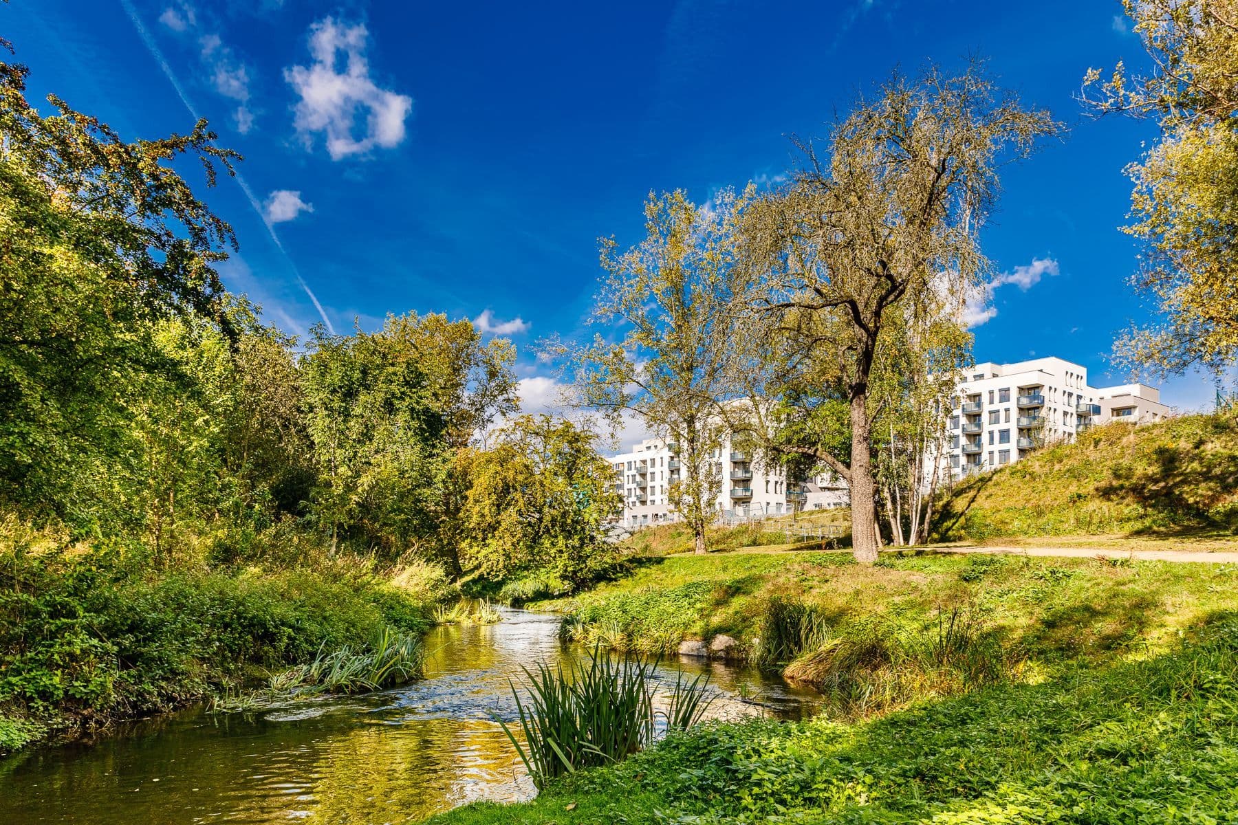 Pronájem bytu 2+kk 64 m², Waltariho, Praha, Praha Pronájem bytu 2+kk 64 m², Waltariho, Praha, Praha