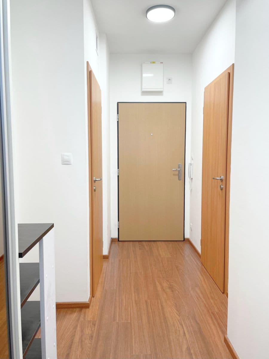 Pronájem bytu 2+kk 50 m², Svitákova, Praha, Praha Pronájem bytu 2+kk 50 m², Svitákova, Praha, Praha