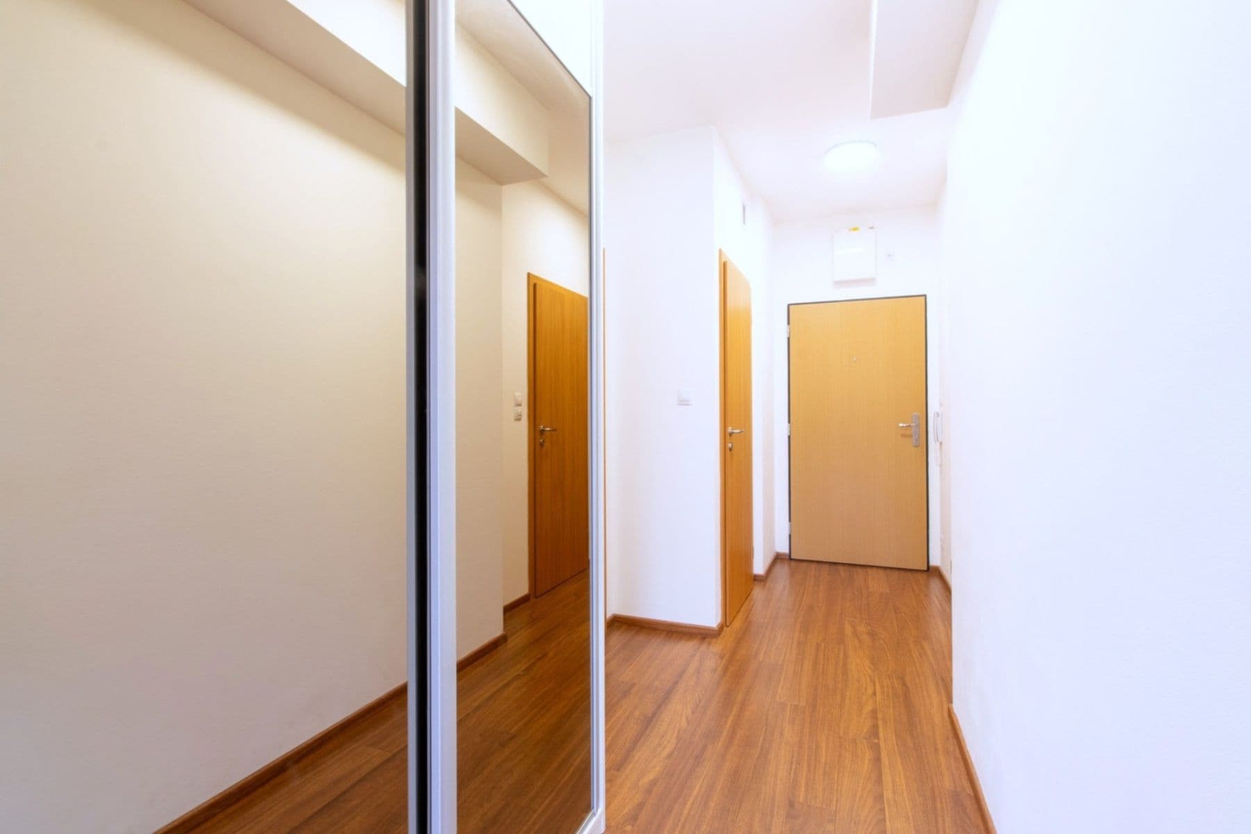 Pronájem bytu 2+kk 50 m², Svitákova, Praha, Praha Pronájem bytu 2+kk 50 m², Svitákova, Praha, Praha