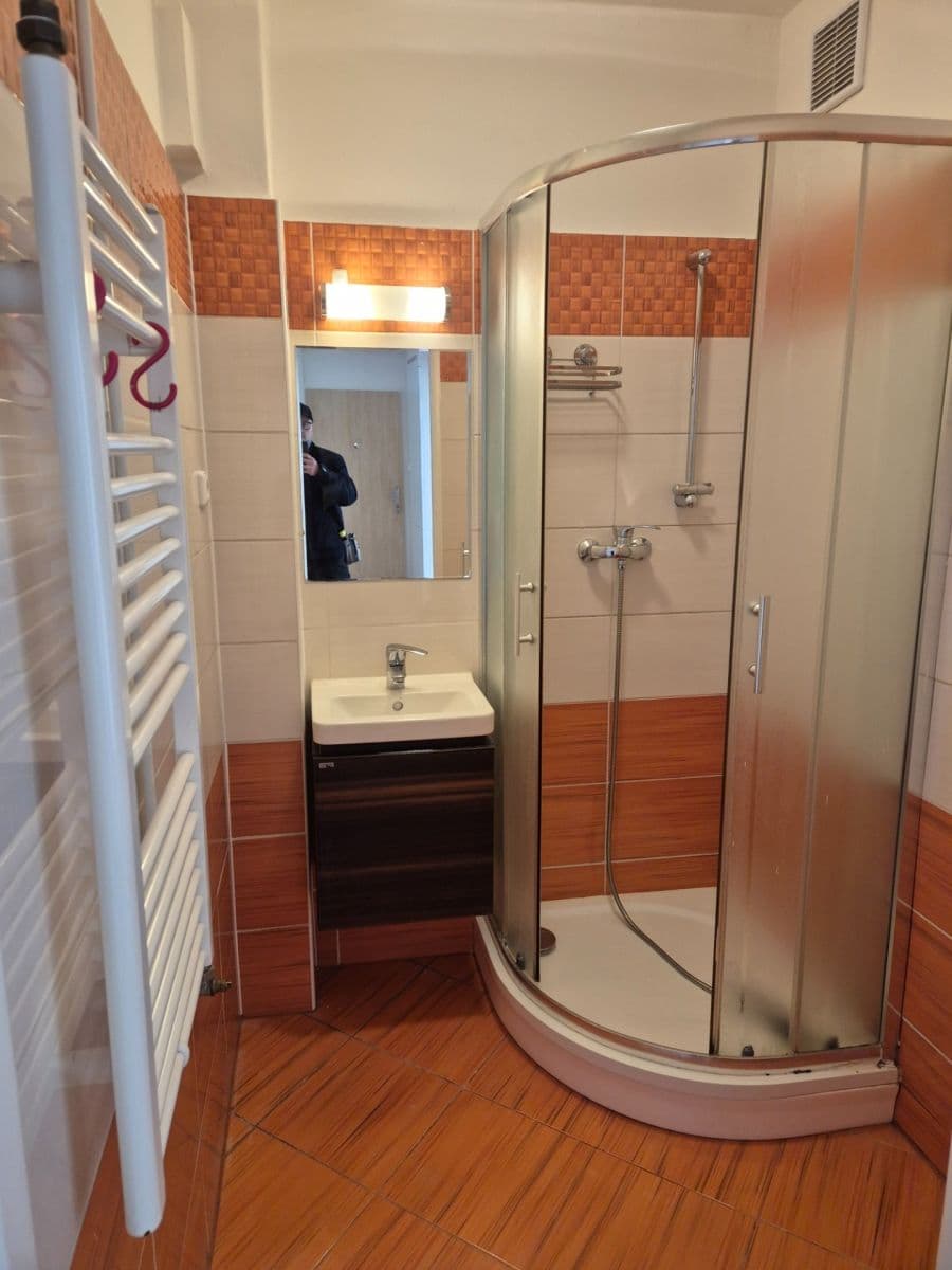 Pronájem bytu 3+1 71 m², Viniční, Brno, Jihomoravský kraj Pronájem bytu 3+1 71 m², Viniční, Brno, Jihomoravský kraj